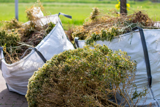 Best Electronics Removal Services  in Northford, CT